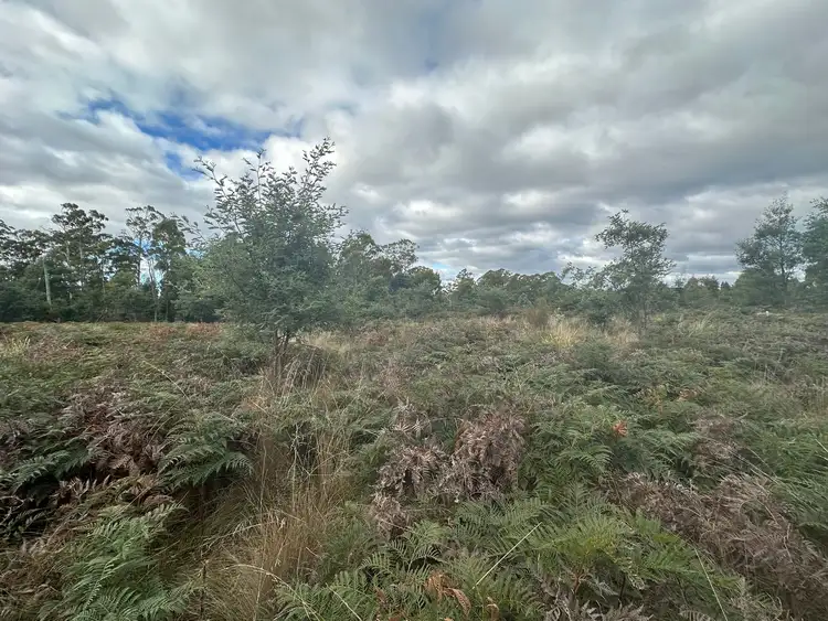 Third view of Homely land listing, 41 Wadleys Road, Reedy Marsh TAS 7304