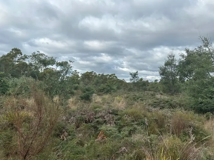 Fifth view of Homely land listing, 41 Wadleys Road, Reedy Marsh TAS 7304