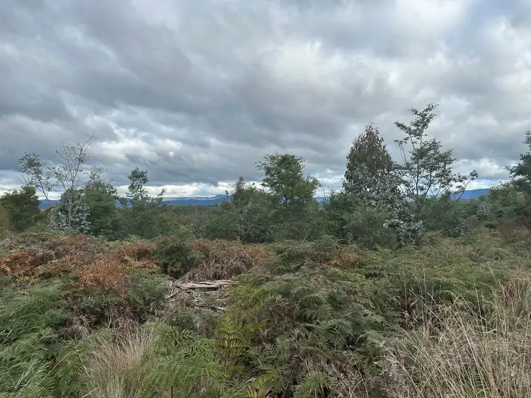 Seventh view of Homely land listing, 41 Wadleys Road, Reedy Marsh TAS 7304