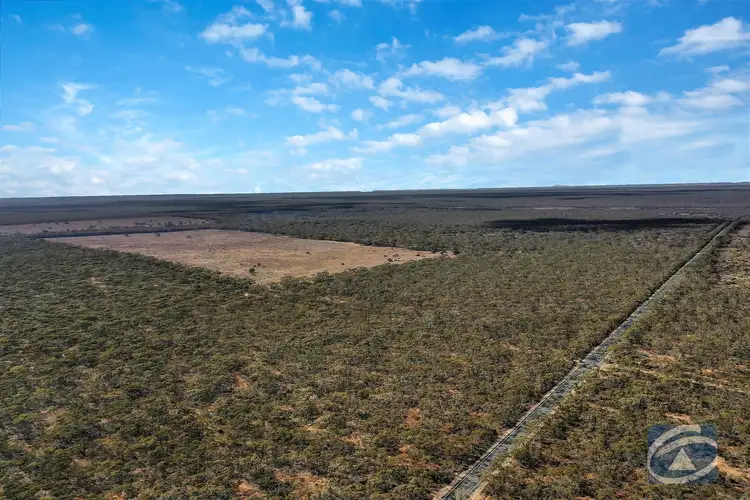 Second view of Homely rural property listing, Sec 212 Stott Highway, Sedan SA 5353