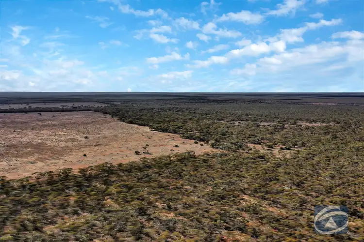 Third view of Homely rural property listing, Sec 212 Stott Highway, Sedan SA 5353