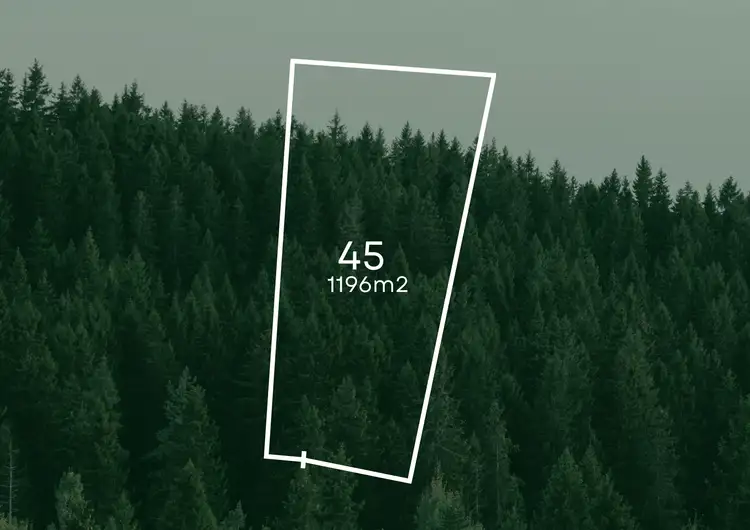 Second view of Homely land listing, Lot 45 Pine Wood Estate, Gol Gol NSW 2738