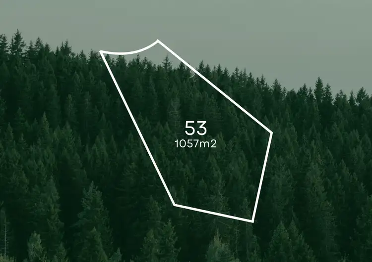 Second view of Homely land listing, Lot 53 Pine Wood Estate, Gol Gol NSW 2738