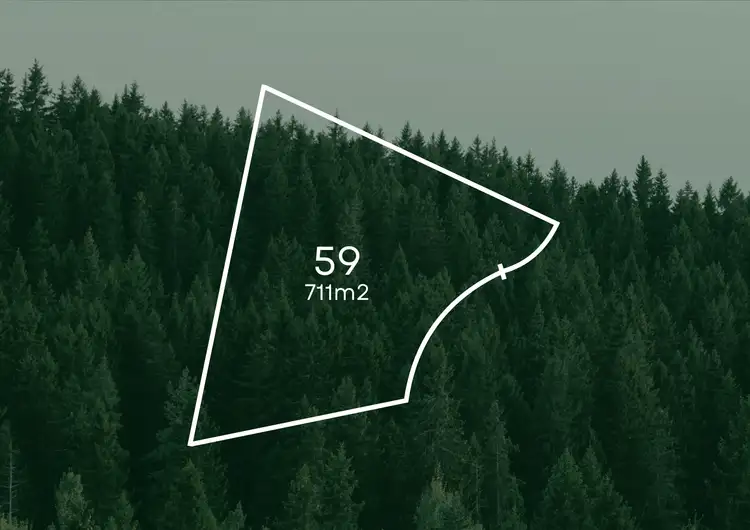 Second view of Homely land listing, Lot 59 Pine Wood Estate, Gol Gol NSW 2738