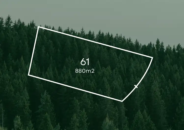 Second view of Homely land listing, Lot 61 Pine Wood Estate, Gol Gol NSW 2738