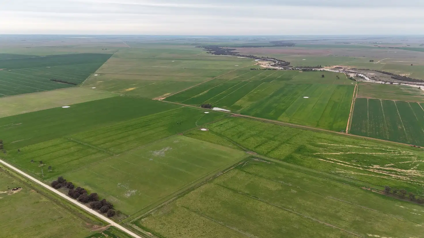 Main view of Homely rural property listing, 1354 Gunbower - Pyramid Road, Gunbower VIC 3566