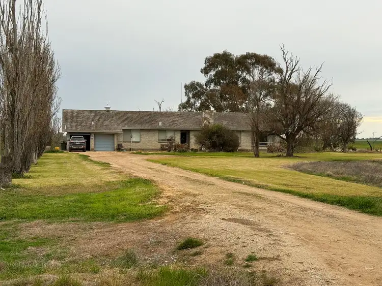 Third view of Homely rural property listing, 1354 Gunbower - Pyramid Road, Gunbower VIC 3566