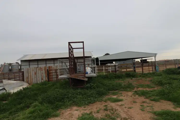 Sixth view of Homely rural property listing, 1354 Gunbower - Pyramid Road, Gunbower VIC 3566