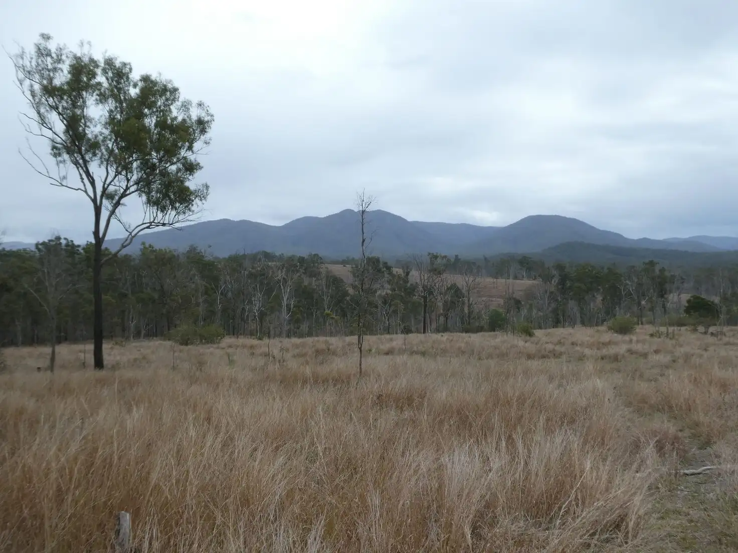 Main view of Homely rural property listing, Lot 26 Tenningering Road, Good Night QLD 4671