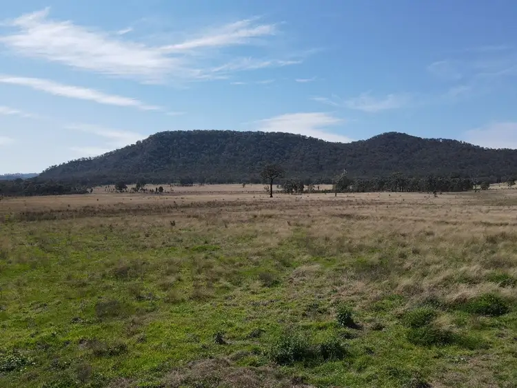 Main view of Homely rural property listing, 1022 Ridgelands Road, Muswellbrook NSW 2333