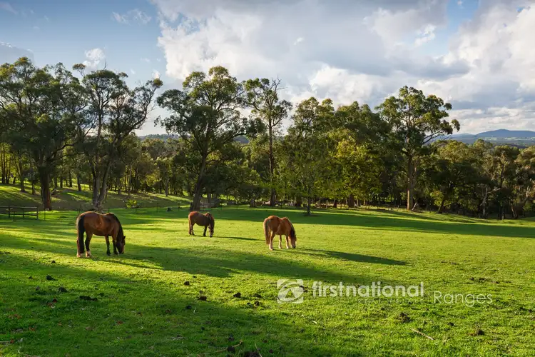 Fourth view of Homely house listing, 251 Tschampions Road, Macclesfield VIC 3782