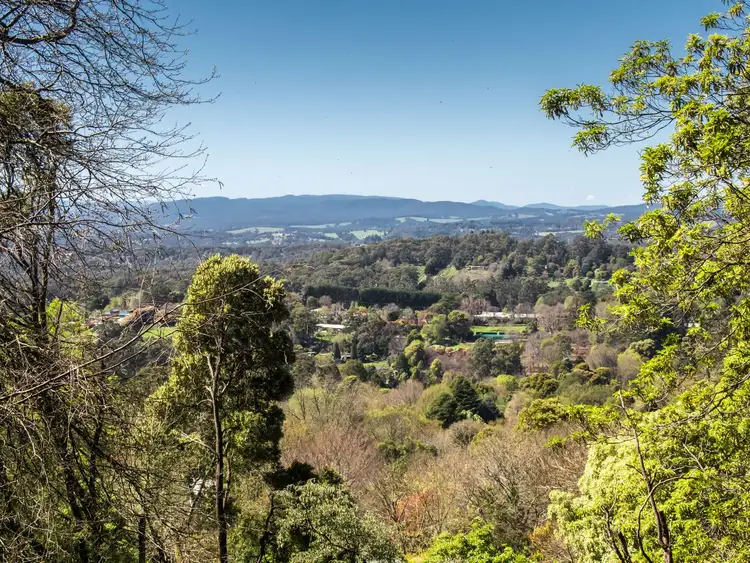 Main view of Homely land listing, 13 Dalmonte Grove, Kallista VIC 3791