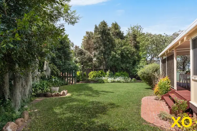 6 Belah Place, Singleton NSW 2330