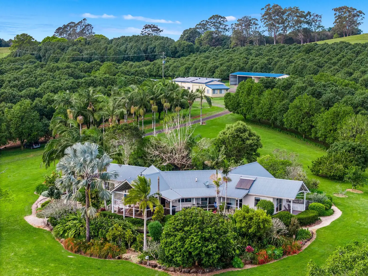 Main view of Homely rural property listing, 271 Alcorn Road, Knockrow NSW 2479