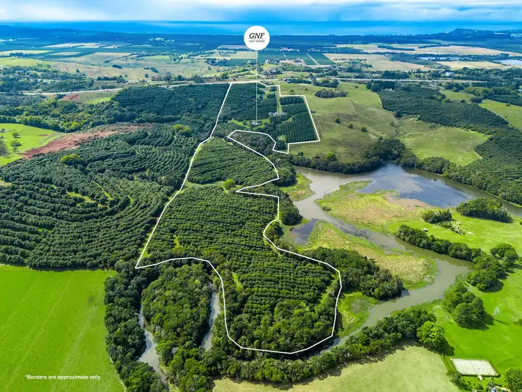 Second view of Homely rural property listing, 271 Alcorn Road, Knockrow NSW 2479