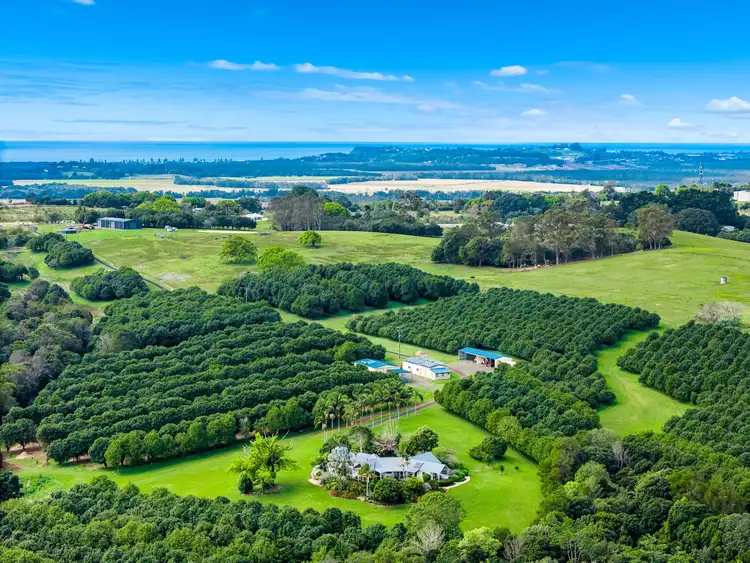 Third view of Homely rural property listing, 271 Alcorn Road, Knockrow NSW 2479