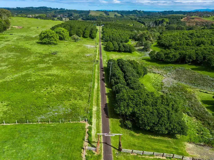 Fourth view of Homely rural property listing, 271 Alcorn Road, Knockrow NSW 2479