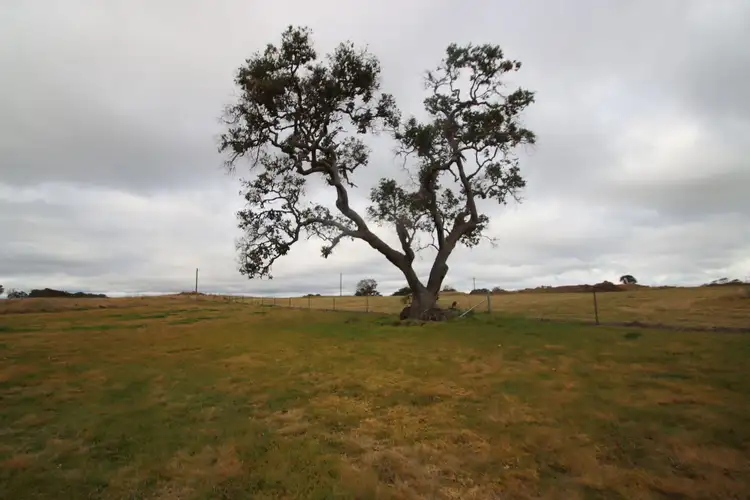 Third view of Homely land listing, 148B Sunnyside Loop Road, Tenterfield NSW 2372
