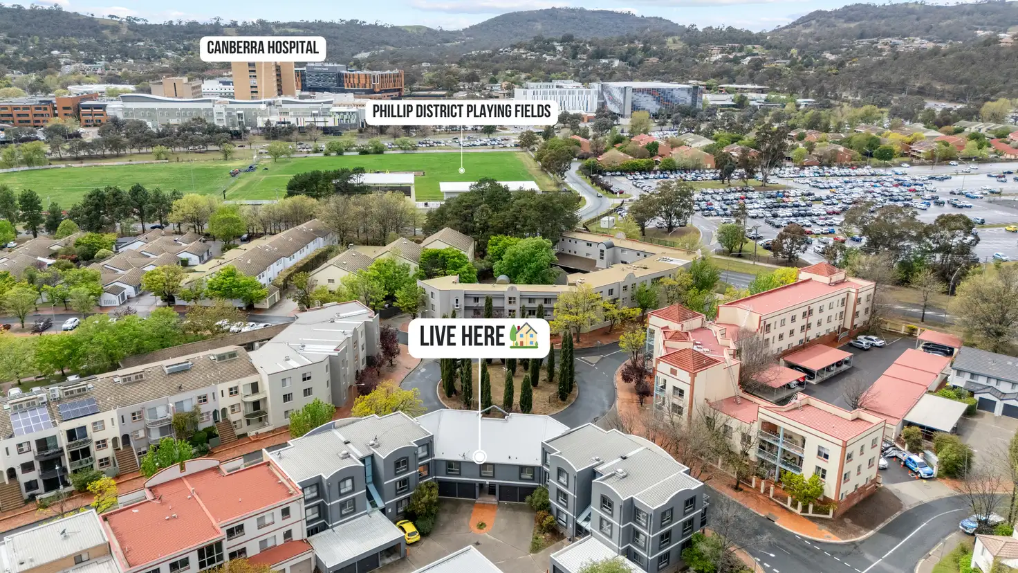 Main view of Homely apartment listing, 13/143 Port Jackson Circuit, Phillip ACT 2606