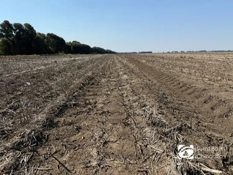 Fourth view of Homely rural property listing, 1724 Lower Jinghi Road, Canaga QLD 4413