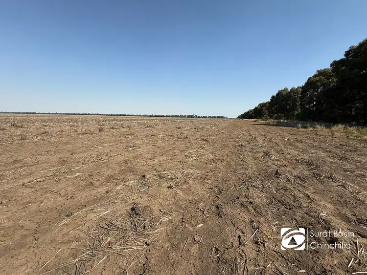 Fifth view of Homely rural property listing, 1724 Lower Jinghi Road, Canaga QLD 4413