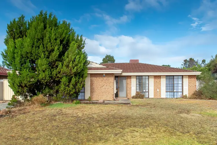 1 Shorebird Parade, Woodvale WA 6026