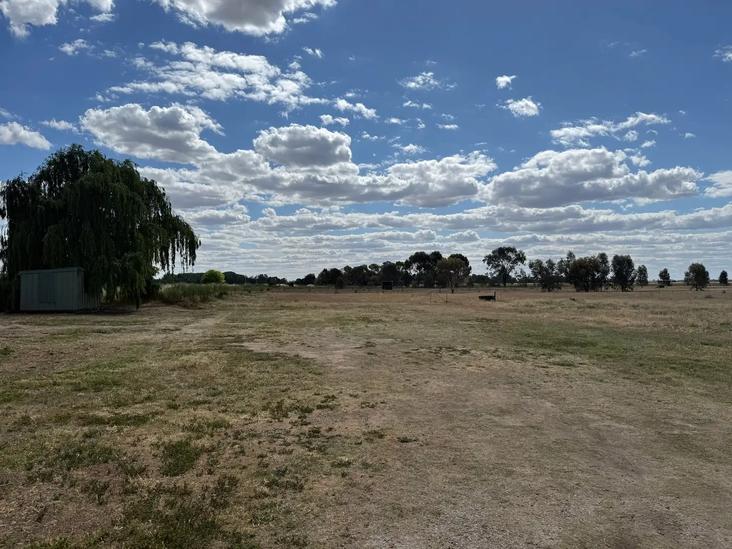 Main view of Homely rural property listing, 1000 Cohuna - McMillans Road, Cohuna VIC 3568
