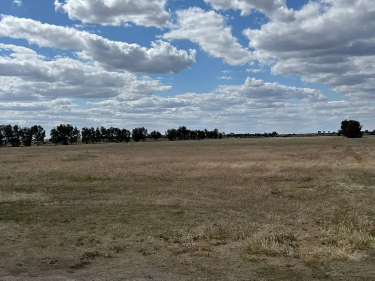Second view of Homely rural property listing, 1000 Cohuna - McMillans Road, Cohuna VIC 3568