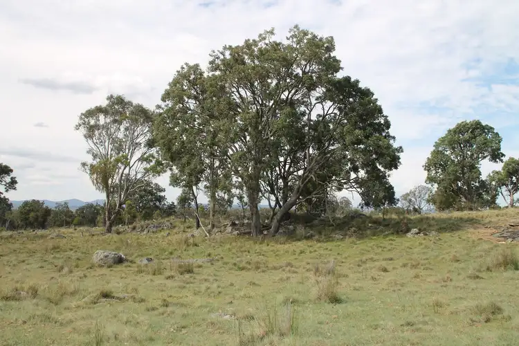 Second view of Homely rural property listing, Lot 158 Woodside Road, Tenterfield NSW 2372