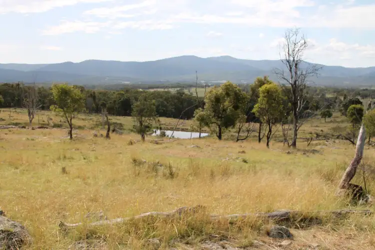 Fifth view of Homely rural property listing, Lot 158 Woodside Road, Tenterfield NSW 2372