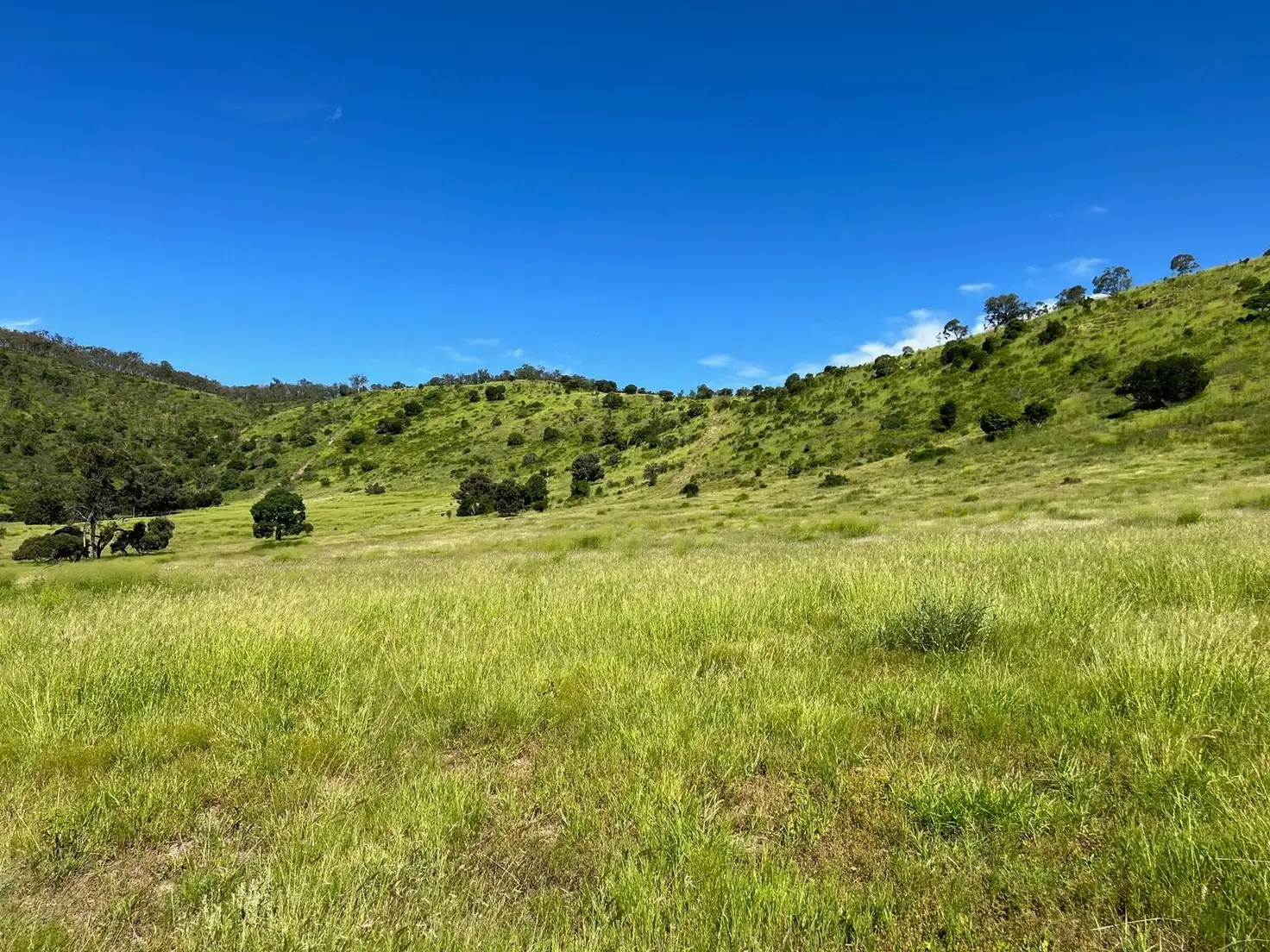 Main view of Homely rural property listing, L7 & L122 Doves Road, Coalstoun Lakes QLD 4621