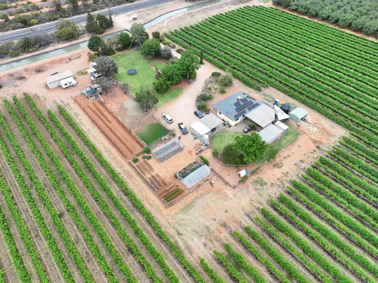 Second view of Homely house listing, 8406 Calder Highway, Red Cliffs VIC 3496