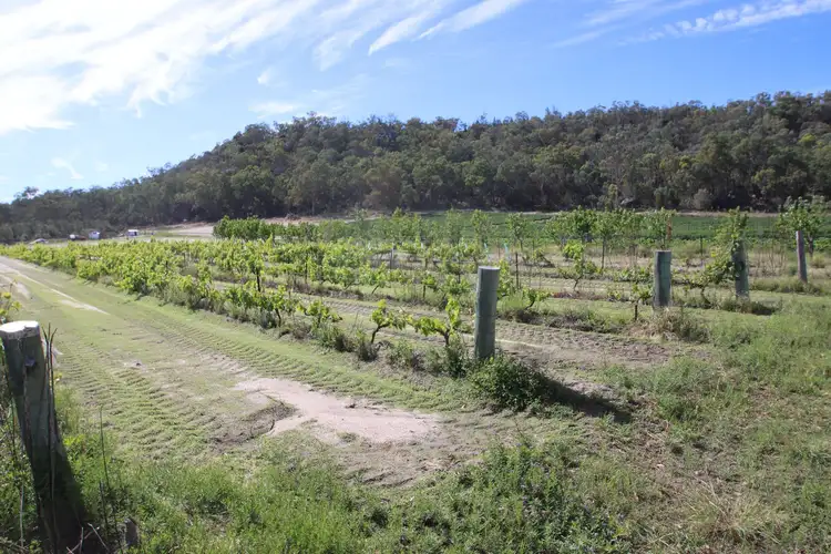 Second view of Homely rural property listing, 27779A New England Highway, Fletcher QLD 4381