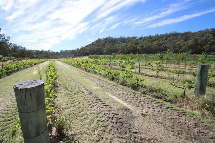 Fourth view of Homely rural property listing, 27779A New England Highway, Fletcher QLD 4381