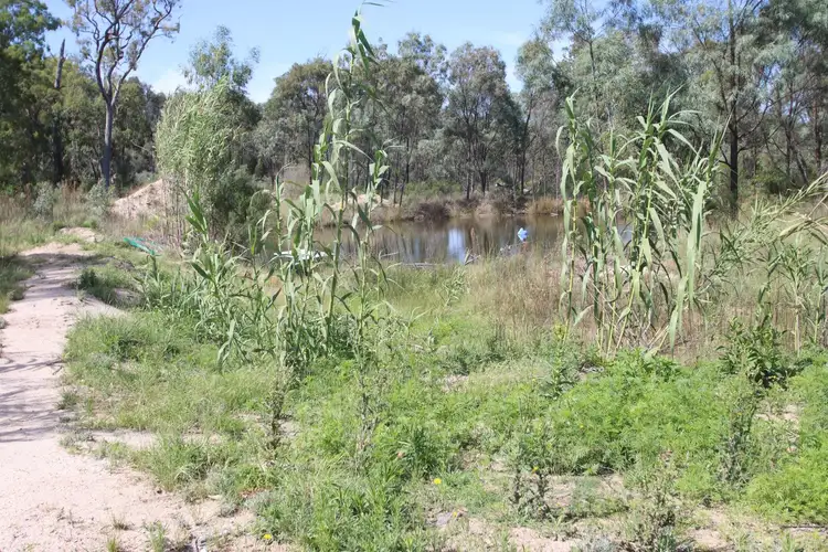 Fifth view of Homely rural property listing, 27779A New England Highway, Fletcher QLD 4381