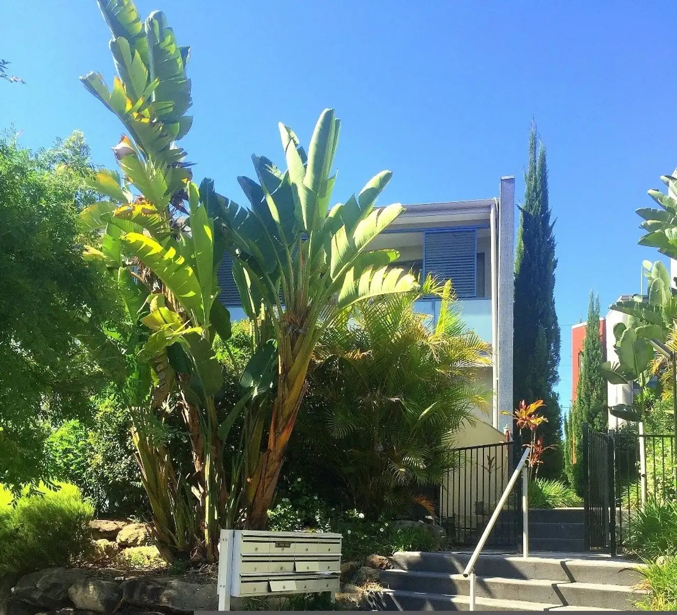 Main view of Homely townhouse listing, 1/84 Woodlands Drive, Glenmore Park NSW 2745