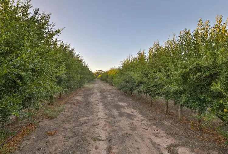 Sixth view of Homely land listing, 128 Hewett Road, Colignan VIC 3494