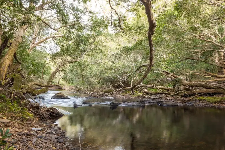 Fourth view of Homely rural property listing, 56 Carisbrook Road, Morton NSW 2538