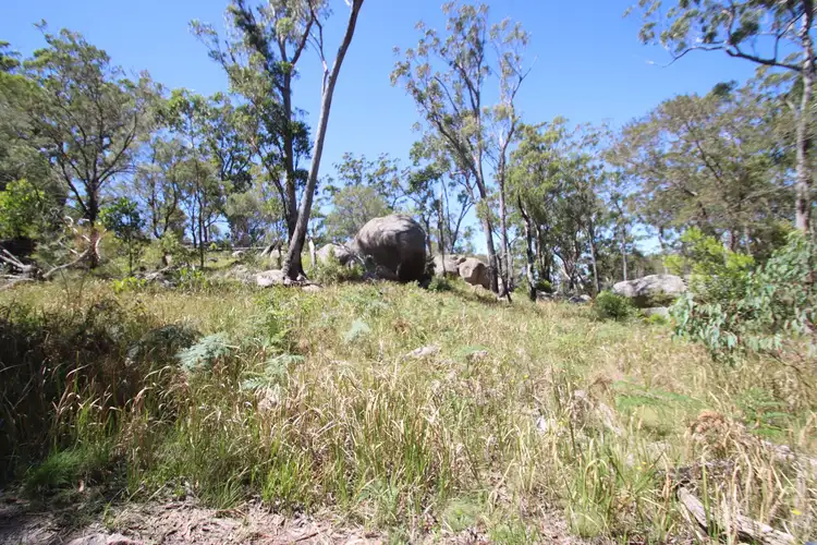 Third view of Homely rural property listing, 1293 Mount Lindesay Road, Tenterfield NSW 2372