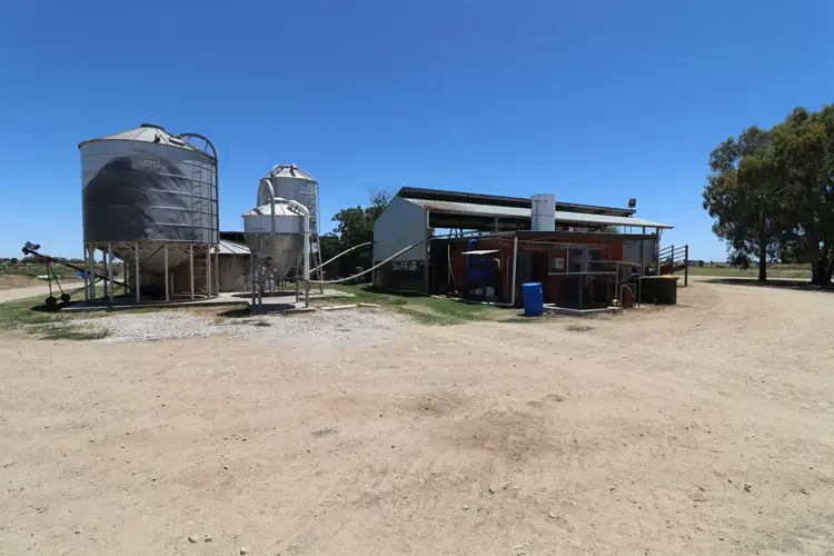 Seventh view of Homely rural property listing, 1899 Leitchville-Kerang Road, Macorna North VIC 3568