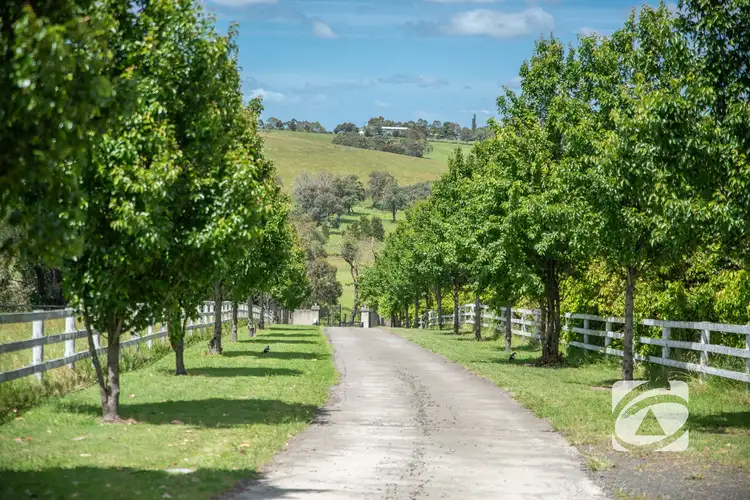 Fourth view of Homely house listing, 611 Belgrave-Hallam Road, Narre Warren East VIC 3804