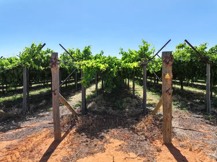 Fifth view of Homely rural property listing, Lot 2 109B Twentieth Street, Cardross VIC 3496