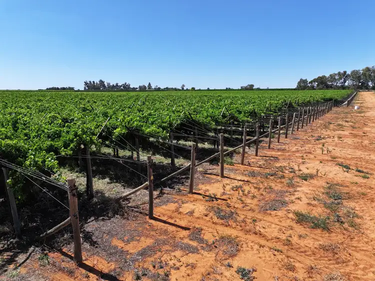 Sixth view of Homely rural property listing, Lot 2 109B Twentieth Street, Cardross VIC 3496