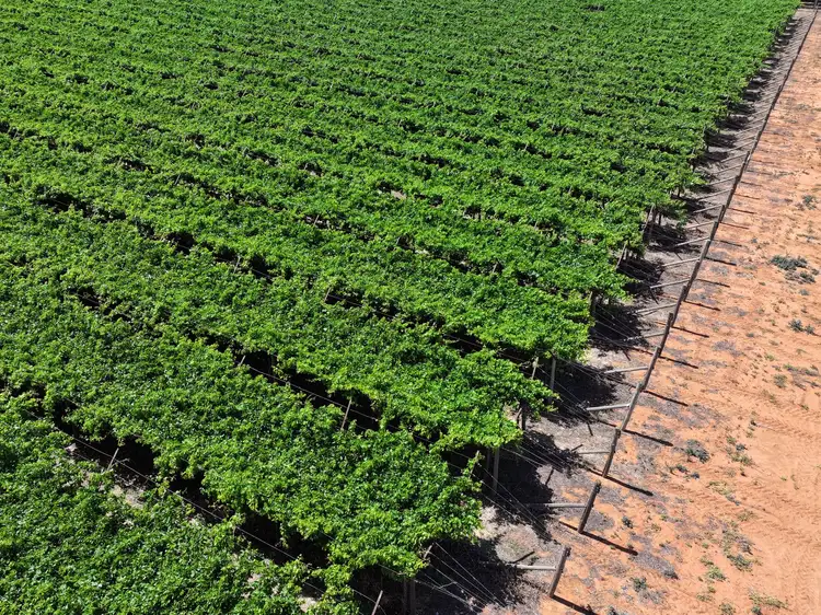 Seventh view of Homely rural property listing, Lot 2 109B Twentieth Street, Cardross VIC 3496