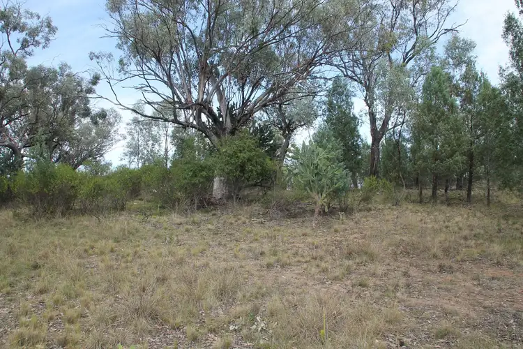 Fifth view of Homely rural property listing, Lot 19 Mountain Creek Road, Tenterfield NSW 2372