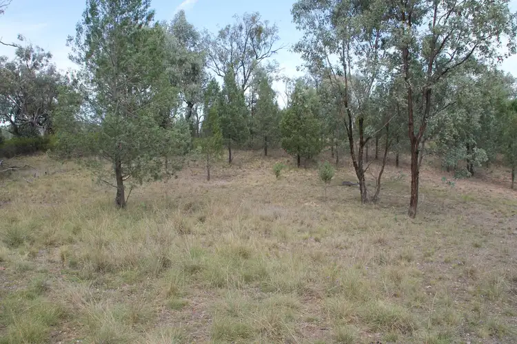 Sixth view of Homely rural property listing, Lot 19 Mountain Creek Road, Tenterfield NSW 2372