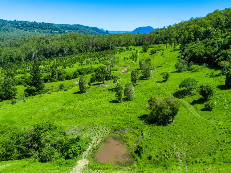 Fifth view of Homely rural property listing, 362 Koonorigan Rd, Koonorigan NSW 2480