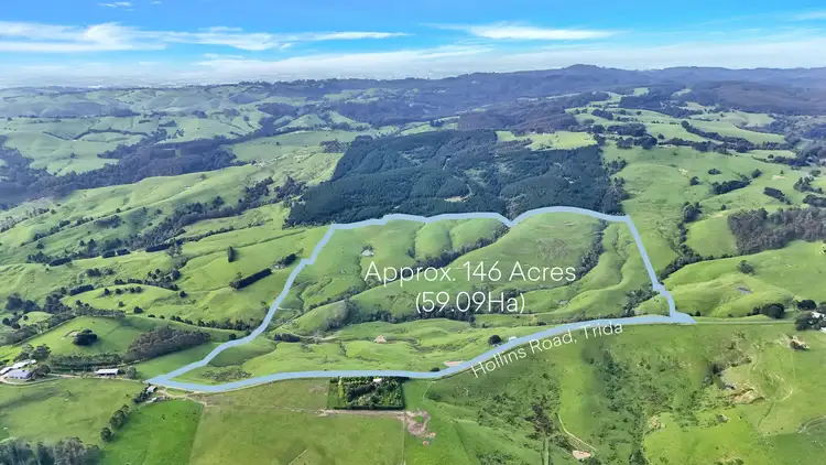160 Hollins Road, Trida VIC 3953