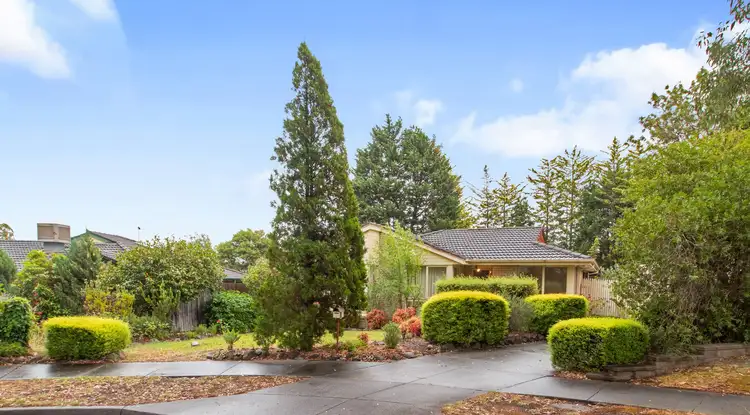 3 Scott Court