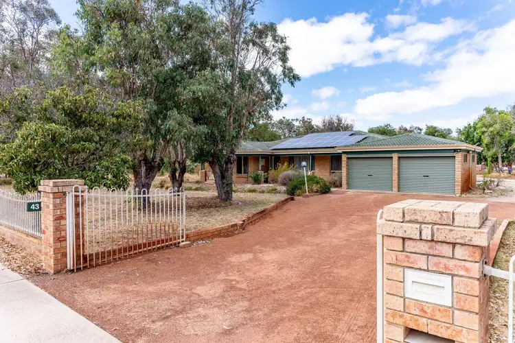 43 Tonkin Drive